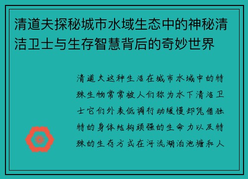 清道夫探秘城市水域生态中的神秘清洁卫士与生存智慧背后的奇妙世界 清道夫探秘城市水域生态中的神秘清洁卫士与生存智慧背后的奇妙世界